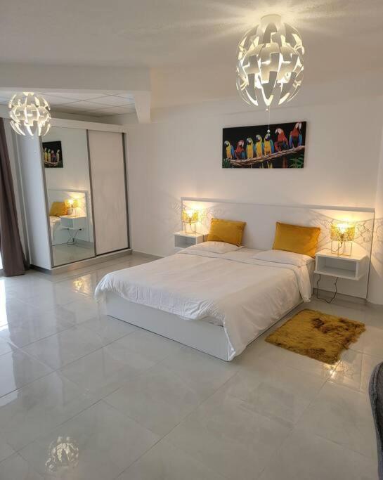 Hello Guyane Apartman Cayenne Kültér fotó